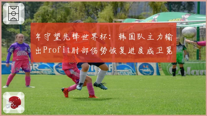 年守望先锋世界杯：韩国队主力输出Profit肘部伤势恢复进度成卫冕隐忧