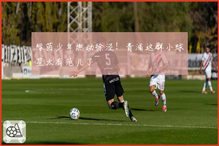 绿茵少年燃动徐泾！青浦这群小球星太有范儿了~