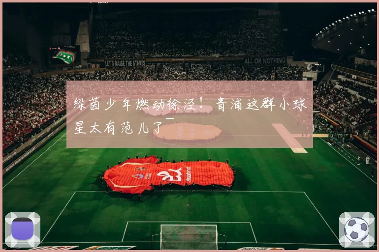 绿茵少年燃动徐泾！青浦这群小球星太有范儿了~