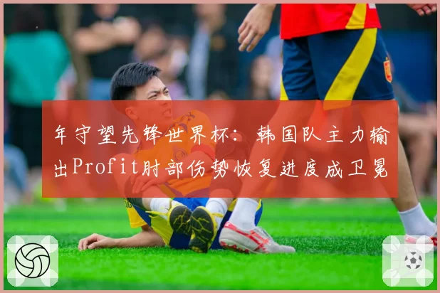 年守望先锋世界杯：韩国队主力输出Profit肘部伤势恢复进度成卫冕隐忧