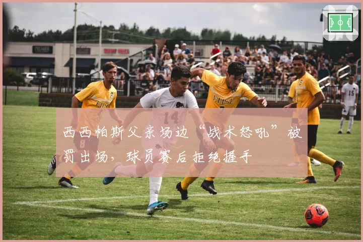 西西帕斯父亲场边“战术怒吼”被罚出场，球员赛后拒绝握手